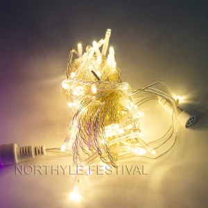 Wholesale IP44 Outdoor Waterproof Copper LED String Light