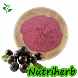 Acai berry antioxidante
