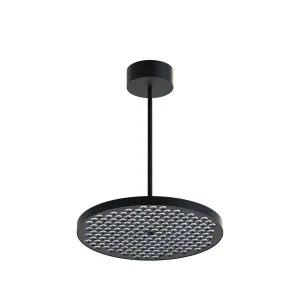 Modern LED Ceiling Light 40W Power with Customizable Brightness Levels