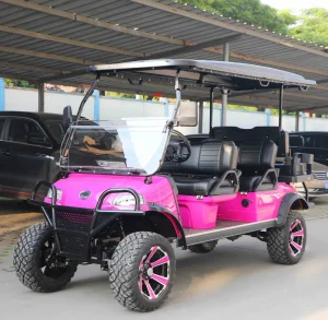 Hdk Electric Coaster Bus: Ultimate UTV Golf Cart Experience