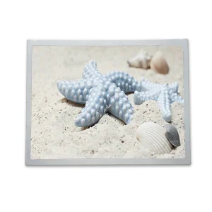 17.3 Inch (P1730FHF1MA10 ) LCD Module Display for Industrial, Outdoor High Brightness TFT