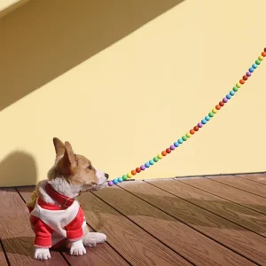 Customizable Silicone Dog Leash
