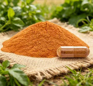 Tomato Concentrate Powder