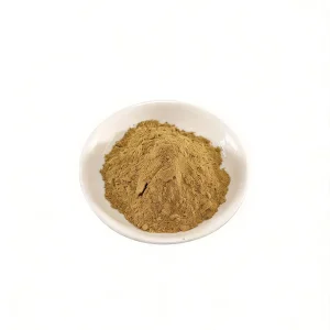 Extrato de Panax Ginseng