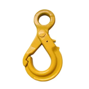 Stainless Shackles