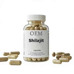 OEM/ODM Natural Shilajit Extract Capsules Highly Absorbable Gluten-Free Herbal Supplements