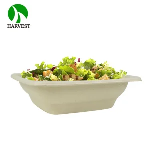 Plant-Based Gluten Free Square 24 oz Disposable Single Use Take Away Eco-Friendly Pulp Biodegradable Compostable Salad Bowl
