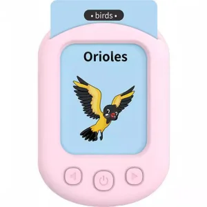 Montessori Language Learning Flash Cards