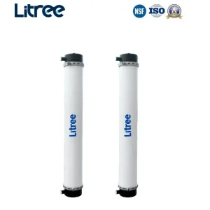 Compact Wastewater Solution for Asean: Litree All-in-One UF Purifier