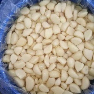 Premium Quality Spice of Garlic Cloves in Brine with Attractive Price