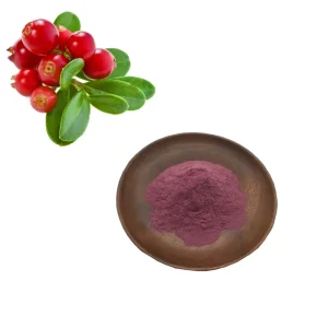 China Food Grade Bilberry Powder Rich in Anthocyanins for Eye Health Manufacturer, Exporter