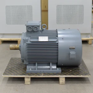Renewable Energy 60kw PMG