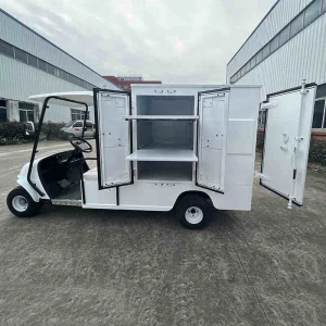 Electric 2 Seat Club Car Golf Cart Room Service Housekeeping Utility Closed Cargo Cart for Hotel Resorts with CE for Europe