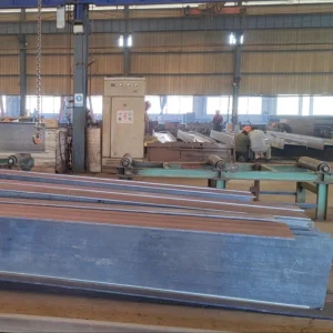 Steel Space Truss Airport with Galvanized Steel Structure/Steel Structure Cold Storage