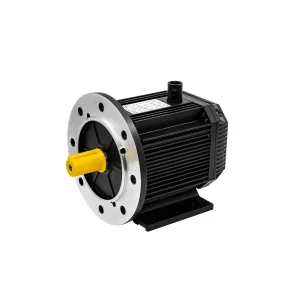 PMSM Motors