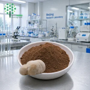 Lions Mane Mushroom Triterpenes Powder