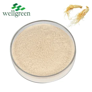 Pó de Extrato de Panax Ginseng Lipossomal