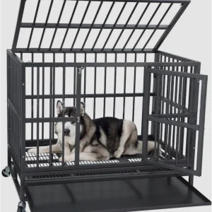 Wholesale Large Dog Parrot Crate Heavy Duty Stainless Steel