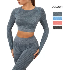 Ropa de gimnasio sin costuras de manga larga elástica y activa para mujeres, ropa deportiva ajustada