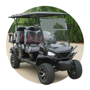 Electric Off-Road Golf Cart 2/4+2/6/8 Passenger Capacity Seats Golf Carts Buggy Scooter with Curtis