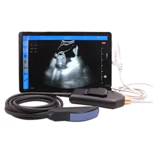 Handheld Veterinary Ultrasound Probe for Malabo Farms