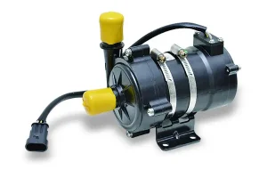Automotive water pump