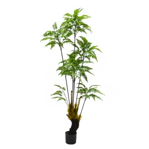 Hanging Boston Ferns