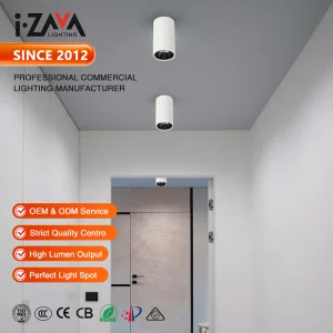 Factory Direct Hotel Office Home Aluminum Down Light Surface Mounted SMD COB LED Downlight