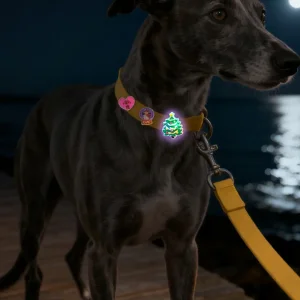 Wholesale Pet Leash Accessories Set LED