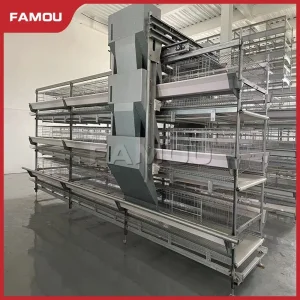 Poultry Feeding System