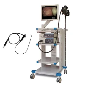 Endoscopes for Clinic Hospital Pet Biopsy Forcep Flexible Bronchoscopy Video Endoscope Camera