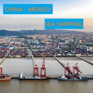 Full Container Sea Shipping Agent Ocean Freight Forwarder From China to Altamira, Mexico