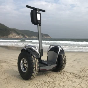 20inch Offroad Adult Two Wheel Golf Electric Self Balance Scooter Electrical Scooter