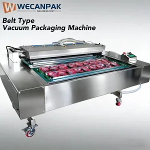 New Semi-Automatic Electric Belt Type Vacuum Packing Machine