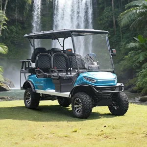 Carrinho de Golfe de Luxo DOT