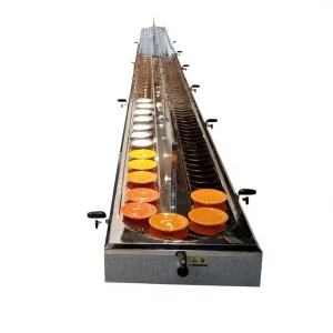 Manila F&B Automated Customized Sushi Conveyor Belt & Turning System