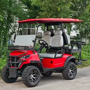 Fábrica de Carrinho de Golfe Elétrico OEM Direto