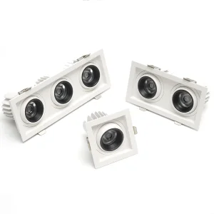 Recessed Adjustable Accent Lights