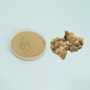 Factory Supply10% 40% 80% Notoginsenosides Panax Notoginseng Root Extract