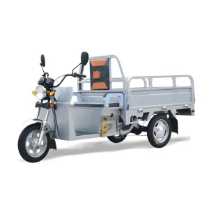Cheap 1.6M Electric Tricycle Company, Service