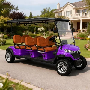 WOLAN Electric Golf Cart