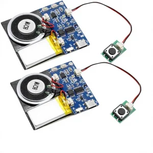 Push Button Activated Sound Module