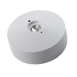 Industrial Commercial Battery Operated LED Downlights LED Emergency Downlight