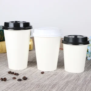 Biodegradable Double Wall Take Out Wholesale Insulated Recycle Carton Custom Coffee Cups Disposable With Lid