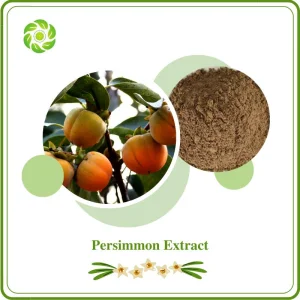 Fabricante OEM Certificado ISO&FDA da World Well Being Biotech Fornecimento de Fábrica Extrato Botânico Natural 95% Tannins15% 20% Flavonoides Extrato de Caqui