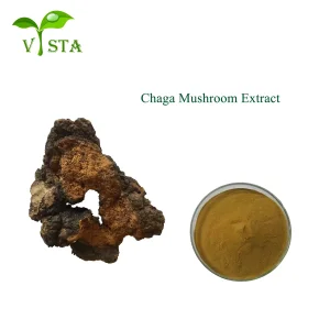 Chaga Powder