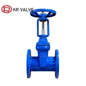 Rising Stem Gate Valve