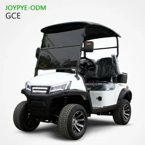 China Suppliers Factory: Customizable Electric Golf Carts for 2/4/6/8 Passengers - Economical & Affordable Golf Buggies