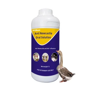 Newcastle Prevention