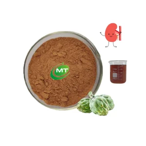 Free Sample Natural Herbal Extract 10: 1 Artichoke Leaf Extract